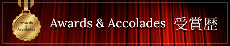 Awards&Accolades奖项